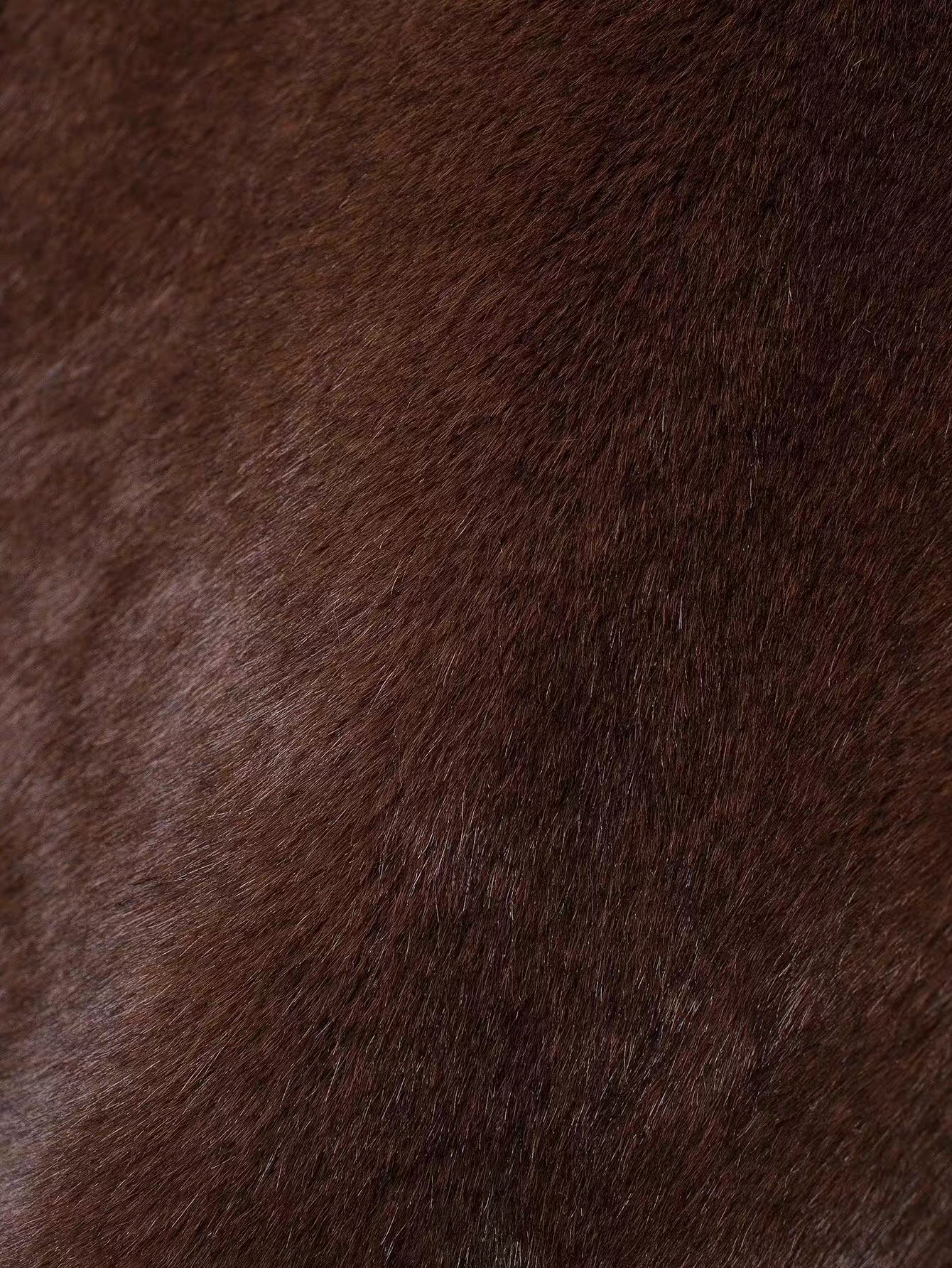 Luxe Elena fluffy jacket